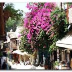 Kaş