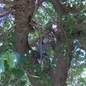 Pictures: Picking dut