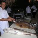 Pictures: What a fish