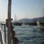 boats