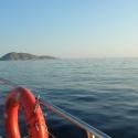 at the sea