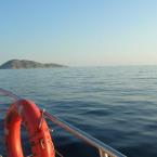 at the sea