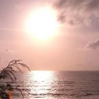 beautiful evening