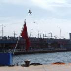 Galata K�pr�s�