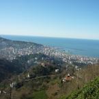 Rize
