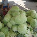Pictures: Dev Lahana in Adana, 2010