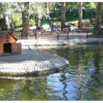 Ducks in Kuğulu Park