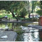 Pictures: Lazy afternoon in the Kuğulu Park
