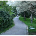 Park Vadi