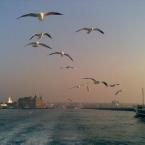 Bosphorus