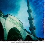 La Mosqu�e Bleue