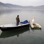 Fisherman