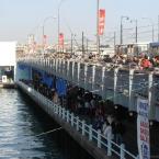 Fishing in Golden Horn