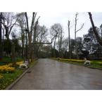 Pictures: Gulhane park is very nice