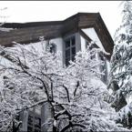 G�m�şhane