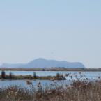Birds and silence, nothing else!