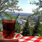 T�rk �ayı