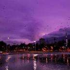 Bursa K�lt�rpark-2