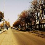 En G�zel Turkey: The Path {2}
