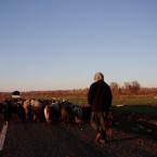 Pictures of Turkey: Egil yolusu