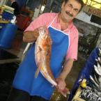 Pictures of Turkey: Balikci - the Fish seller