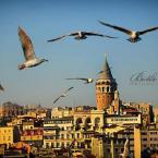 Pictures of Turkey: Galata Kulesi