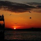 Pictures: İstanbul