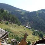 Abandoned Hamlet
