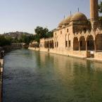 Urfa