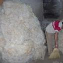 Wool