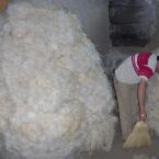 Wool