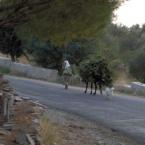 Village woman coming from work