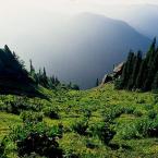 Black Sea Mountains